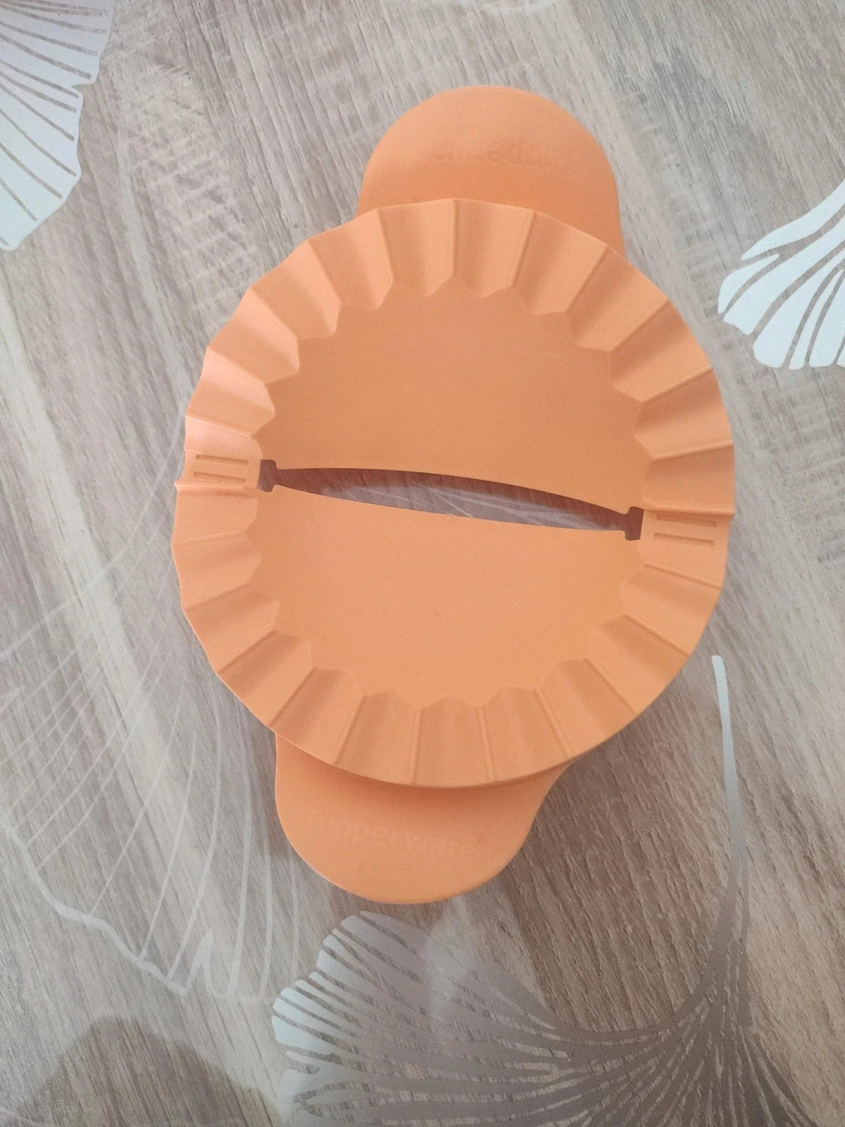 Zapatos de fiesta tupperware – photo 2